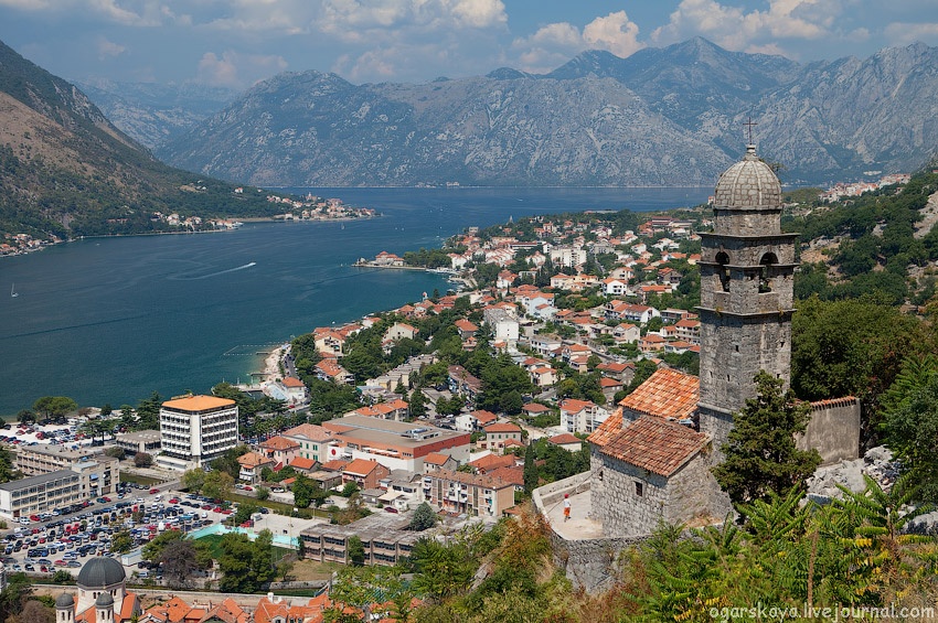 kotor